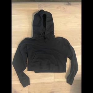 Aritzia Cropped Hoodie